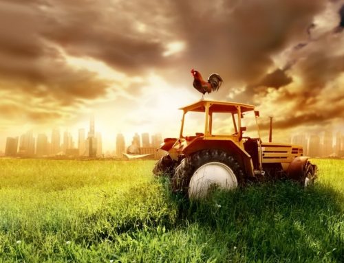 PhD Days 2018 – Agriculture and Robotics